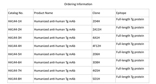 Thyroglobulin (Tg)