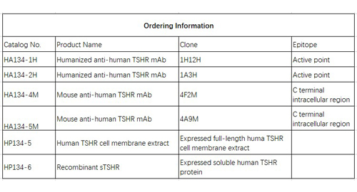 Anti-insan TSHR mAb