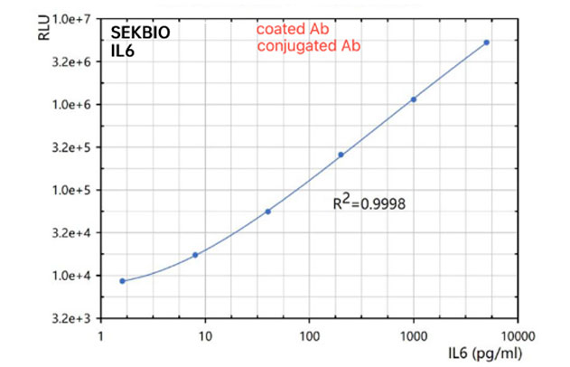 Interleukin 6 Protein