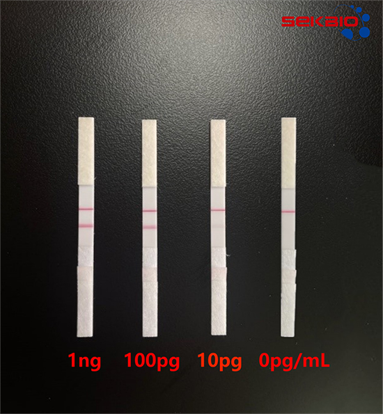 SARS-CoV-2-Antigen-Rapid-Test-Strip-Result1.jpg