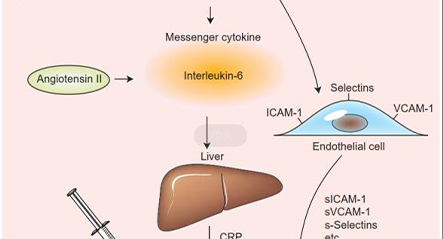 Ne olduğunu inflamatuar işaretleyici?